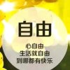 自由的头像