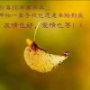 习惯有你的头像