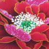 方圓糊涂点好的头像