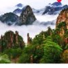 不变的情缘的头像