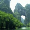 洪哥小号的头像