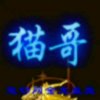 猫哥的头像