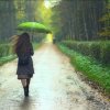 雨寒的头像