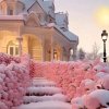  雪儿 的头像