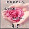 华哥（9徒）小芳的头像