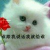 幸福的微笑的头像