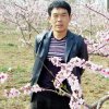 漫步人生的头像