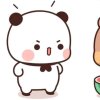 浮梦的头像