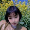 玖月物是人非的头像