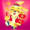 神兔的头像