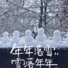 飘雪的夏的头像