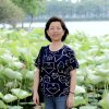 采桑子的头像
