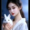 星星的头像