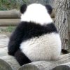⁽⁽ଘunique๑三千的头像