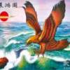 ZJP的头像