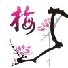 梅的头像