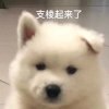 无差的头像