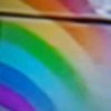 风雨彩虹的头像