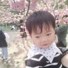 放飞心声的头像