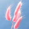 ༄飘ོ࿆云ོ࿆(qiu)偶遇的头像
