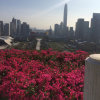 Liu的头像