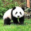 你是我的宝的头像