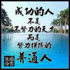 夏风的头像