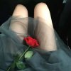 芙蓉账暖༊的头像
