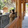 依然是我的头像