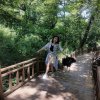 但愿人长久的头像