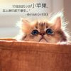 享受生活！的头像