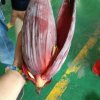 我只在乎你的头像