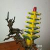傻三的头像