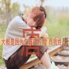  2《雪莲花》的头像