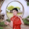 依然爱你（暂离）的头像