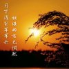 冷漠的头像