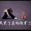 木——忆的头像