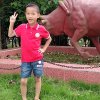 风萍无浪的头像