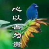 缘☞(午夜)的头像
