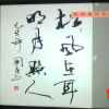 123的头像