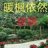至少有你的头像