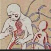 一生锁爱的头像