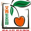 艾青的头像