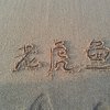 老虎鱼的头像