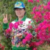 菊花(闫)的头像