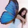 蝶舞的头像