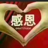 感恩退出的头像