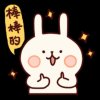 笨笨的头像
