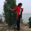 重获宁静的头像