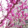 华丽转身的头像